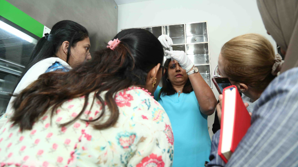 Masterclass in Cosmetic Gynaecology